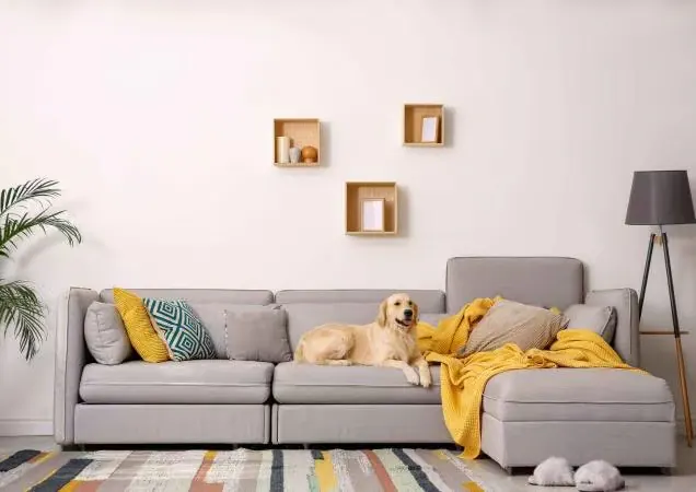 upholstered sofa presentation